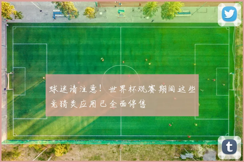 球迷请注意！世界杯观赛期间这些竞猜类应用已全面停售