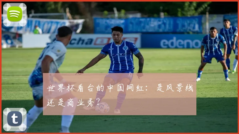 世界杯看台的中国网红：是风景线还是商业秀？