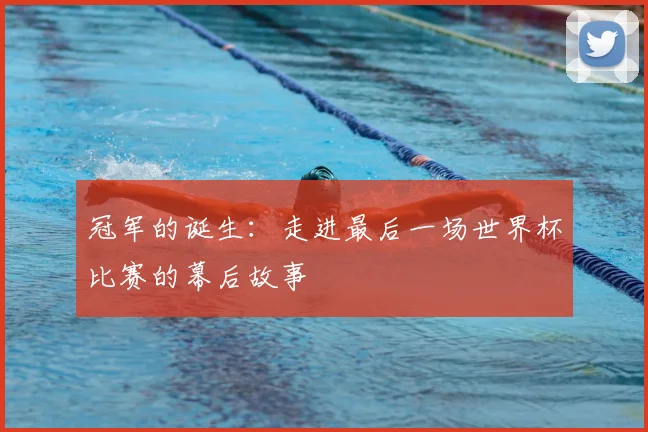 冠军的诞生:走进最后一场世界杯比赛的幕后故事
