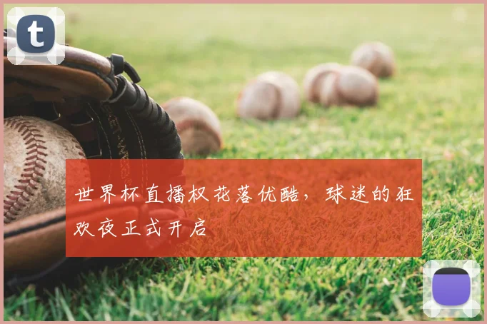 世界杯直播权花落优酷,球迷的狂欢夜正式开启