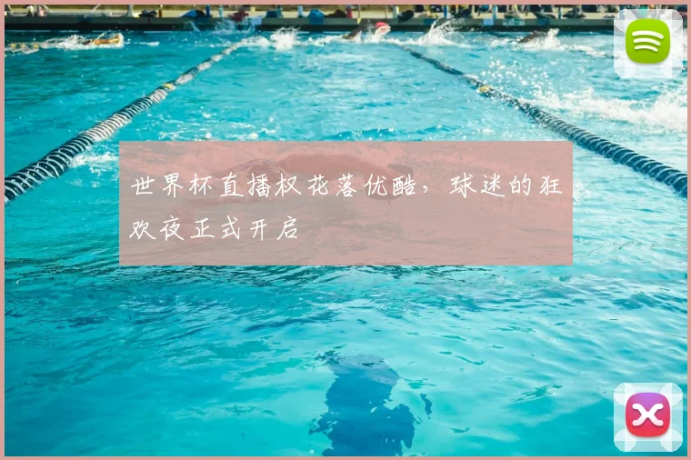 世界杯直播权花落优酷,球迷的狂欢夜正式开启
