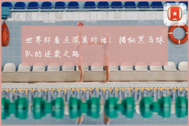 世界杯看点深度对话：揭秘黑马球队的逆袭之路
